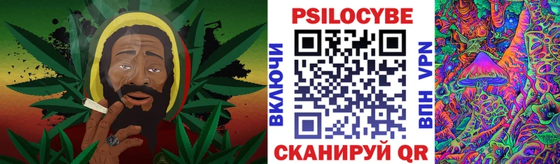 хочу   Сусуман  Псилоцибиновые грибы Psilocybine cubensis 