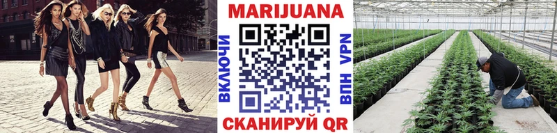 Конопля индика  Сусуман 
